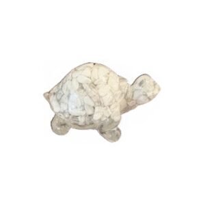 Crystal turtle