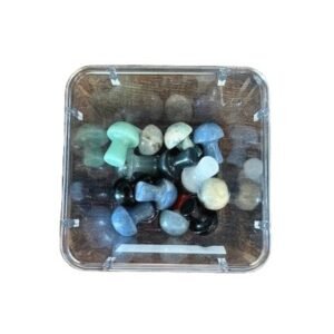 Mini crystal mushroom