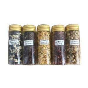Apothecary Organic Assorted Glass Vials Dried Flowers