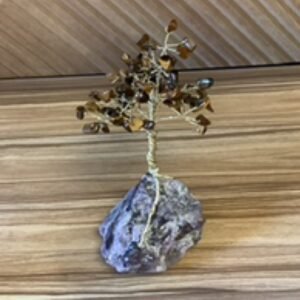 Tree-Tigers eye